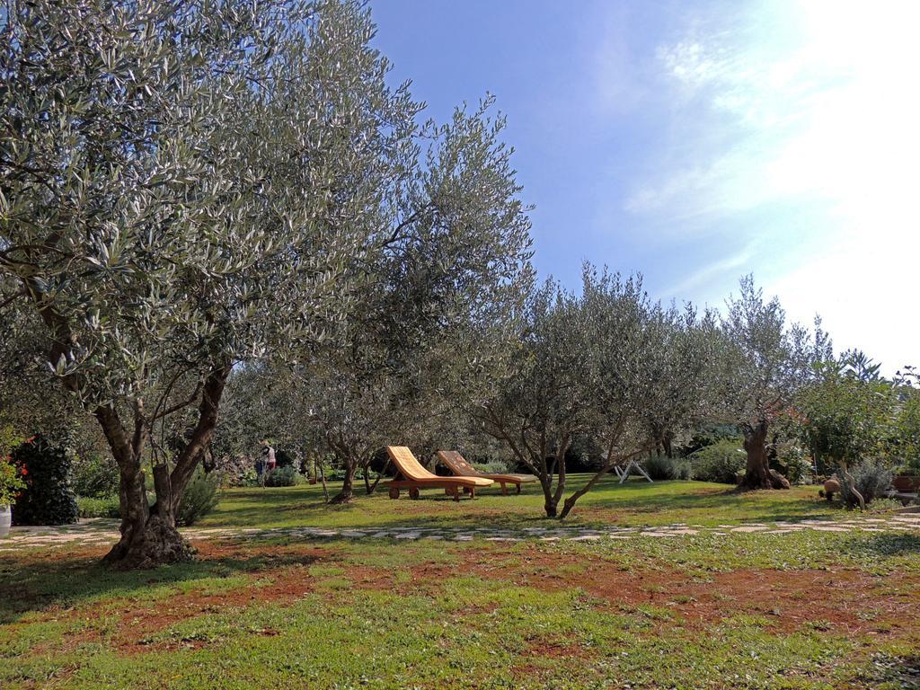 Brzac Apartments Marinovic מראה חיצוני תמונה